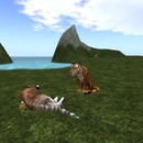 Thumb 57dad96ae85cda54a0000001