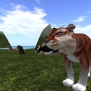 Thumb 57db9403f8a1ec3e7b000001