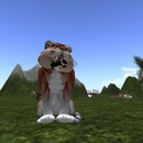 Thumb 57db954bb713f76a3c000001