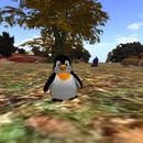 Thumb 58197a5db713f7328b000001