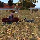 Thumb 581badc3b713f71660000001