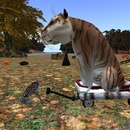 Thumb 58228e11b015407f04000001