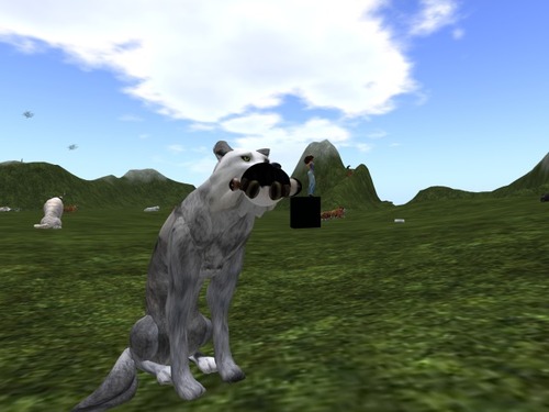 Web 57e471d0b713f75351000001