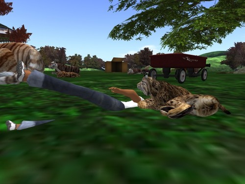 Web 57e7ff69b015406983000001