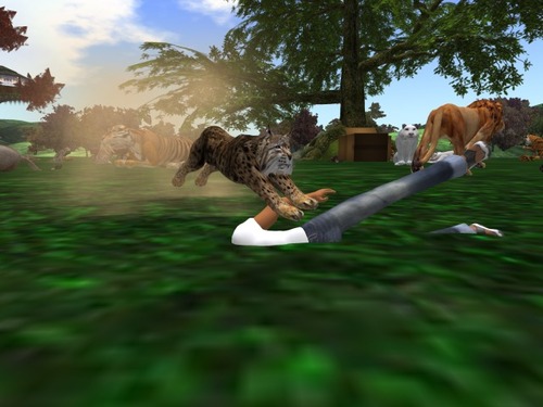 Web 57e7ffa8b015406b97000001