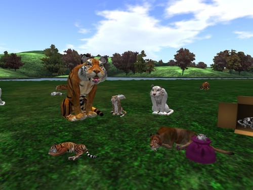 Web 57e802e2b713f71a51000001