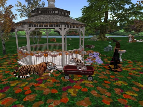 Web 57ed6896e85cda5758000001