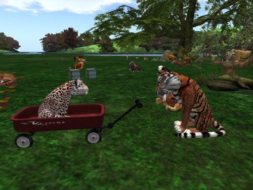 Web 57ed690ce85cda5c35000001