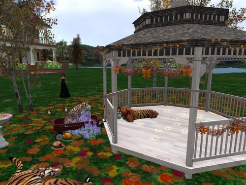 Web 57ed6945b01540710f000001