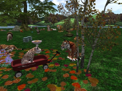 Web 57ed695db713f77671000001