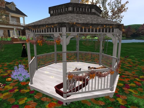 Web 57ed6973f8a1ec514b000001