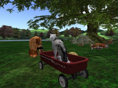 Web 57ed83e4f8a1ec396c000001