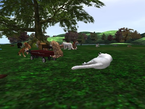 Web 57edad2bb0154026fd000001