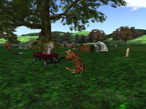 Web 57edadbbb713f732b6000001