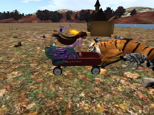 Web 581bae6be85cda184c000001