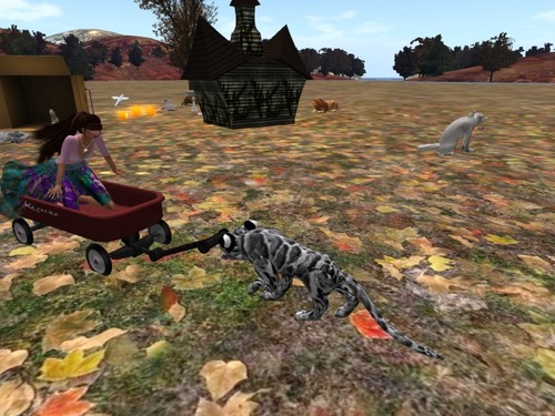 Web 581bae9ee85cda1a0b000001