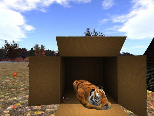 Web 58200b2db713f76b87000001