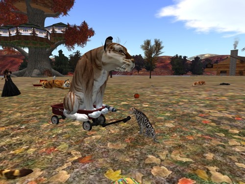 Web 58228e01e85cda4954000001