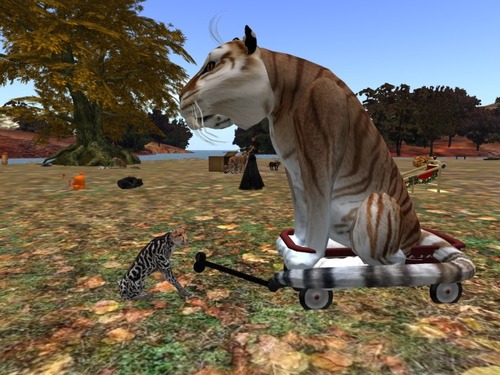 Web 58228e11b015407f04000001