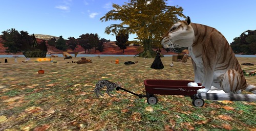 Web 58228ea3b713f745d4000001