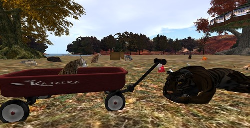 Web 5828034bf8a1ec0ad9000001