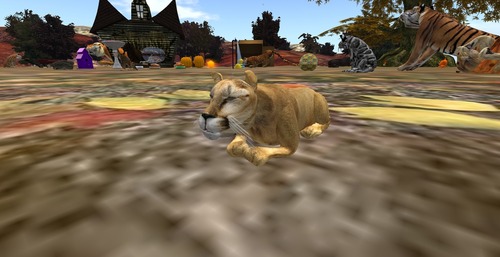 Web 582bd3b7b015405794000001