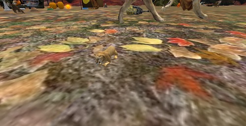 Web 582bd429f8a1ec5226000001