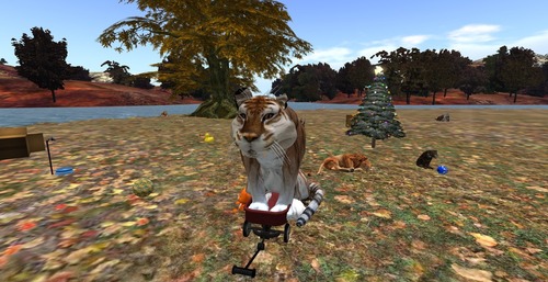 Web 582fa78ab015402fc5000001