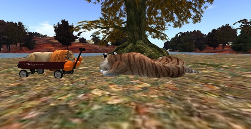 Web 58320d27f8a1ec062a000001