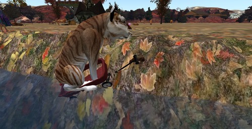 Web 5834b826f8a1ec1b3f000001