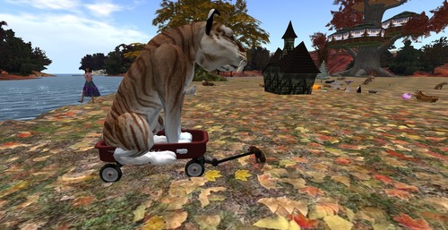 Web 5834b848b015402044000001