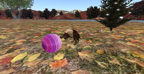 Web 583b6eebf8a1ec0276000001