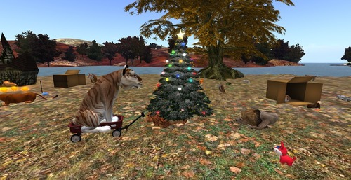 Web 583bd16db015403bc8000001