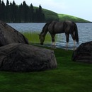 Thumb 56feeb1af8a1ec047b000001