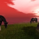 Thumb 56feed359934e059fa000001