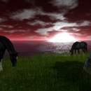 Thumb 56feeefdb713f76ed3000001