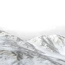 Thumb 5a8dadb4d9859c1947000001