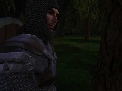 Web 56d68e54b713f7760d000001