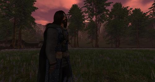 Web 5a7c9666d9859c0d5d000001