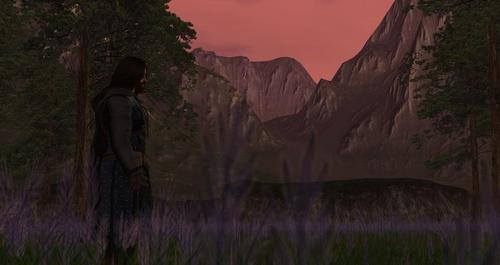 Web 5a7c96b1d9859c0f52000001