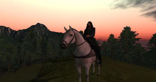 Web 5a7dbd67d9859c16b2000001