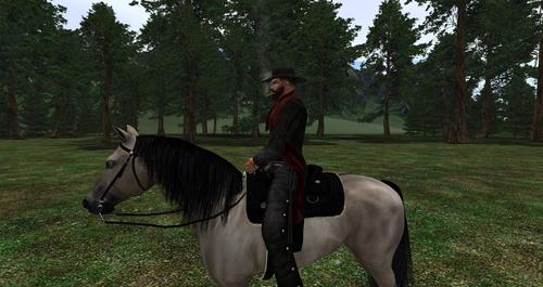 Web 5a9e5428289dd2051a000001