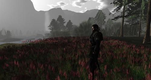 Web 5abe5ad1d9859c4e57000001