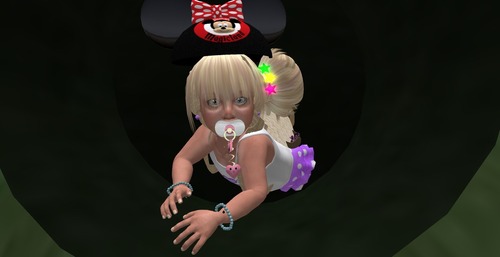 Web 554e585b8da57266a1000001