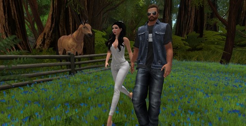 Web 556683448da5725c5c000001