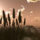 Thumb 5a708a0b289dd274dd000001