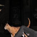 Thumb 5a737828d9859c4393000001