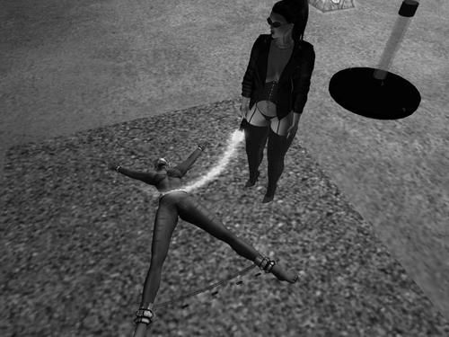 Web 5a3834c6d774f80cab000001