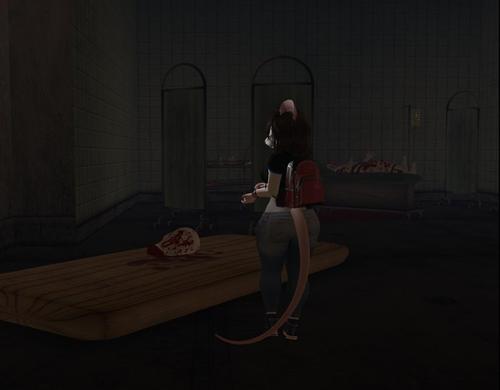 Web 5b3c0fe8289dd269cc000001