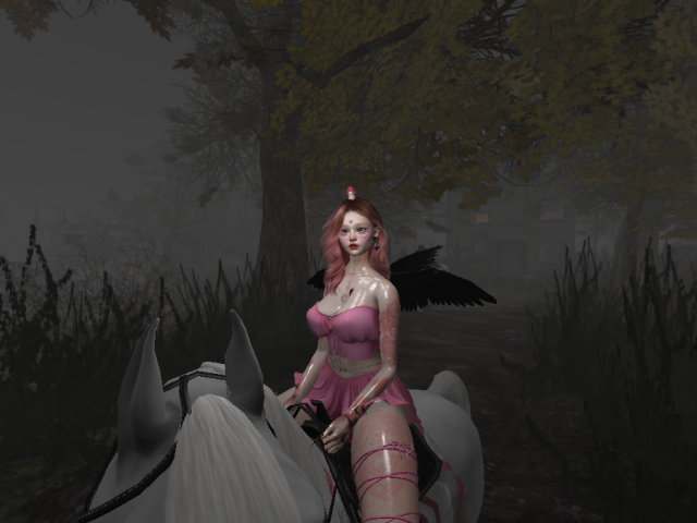 Original 666f81e76e233a4bc430c087